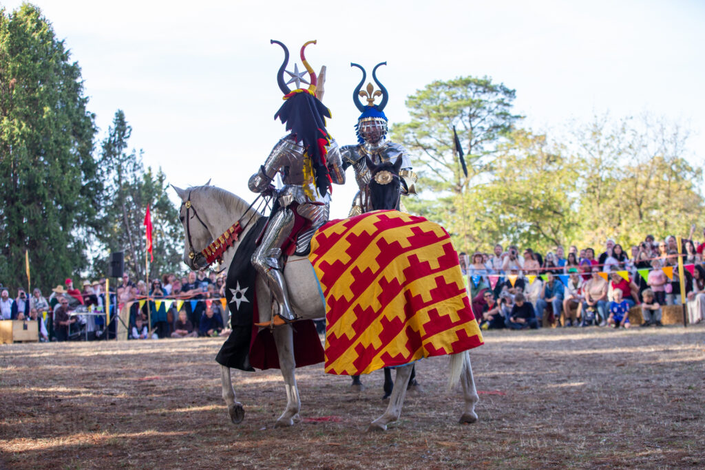 SA Medieval Fair 2025